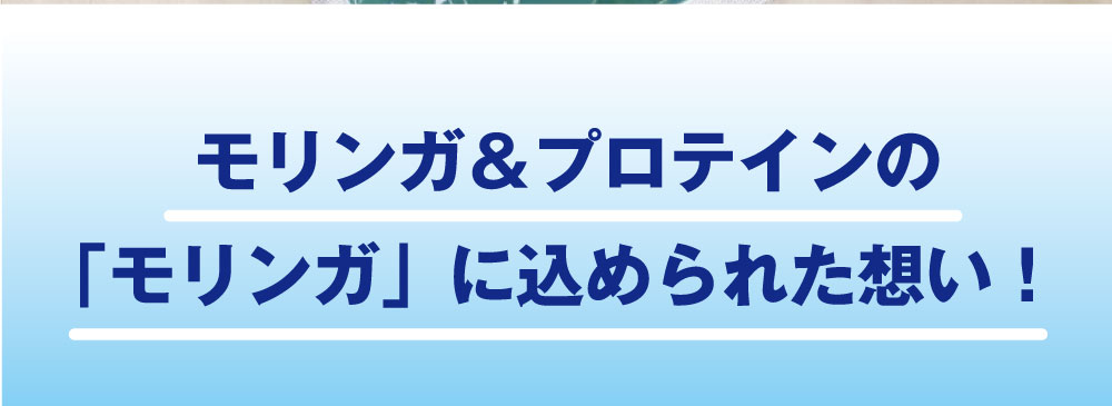 モリンガ&プロテイン